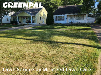 Lawn Maintenance in Royal Oak, 48067, Lawn Cutting by Mr Steed Lawn Care, work completed in Oct , 2025