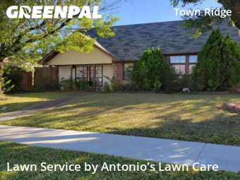 Lawn Maintenancein Mesquite,75149,Lawn Cut by Antonio's Lawn Care, work completed in Nov , 2025
