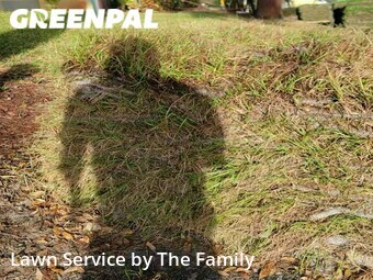 Lawn Service nearby Orlando, FL, 
