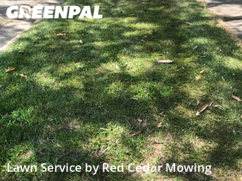 Grass Cutting nearby Lansing, MI, 