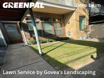 Yard Mowing nearby Dallas, TX, 