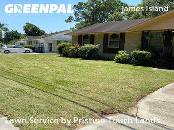 Yard Cutting nearby Charleston, SC, 