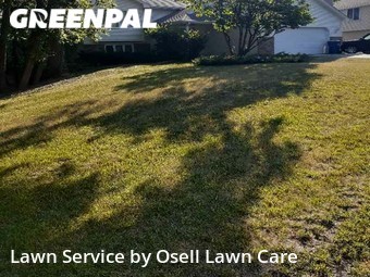 Lawn Cut nearby Maple Grove, MN, 