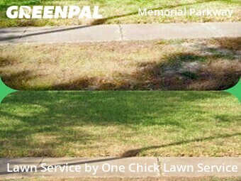 Lawn Cut nearby Katy, TX, 