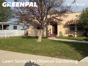 Work completed by local-lawn-care-services-in-Los Angeles-CA