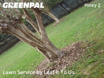 Yard Cutting nearby Tallahassee, FL, 