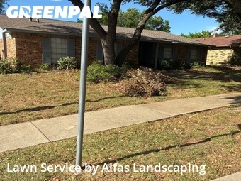 Lawn Mowing Servicein The Colony,75056,Yard Cutting by Alfas Landscaping, work completed in Jun , 2026