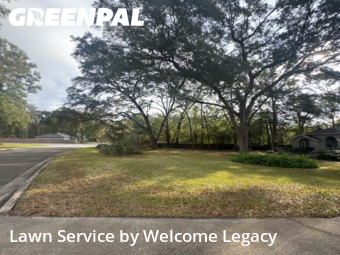 Lawn mowed in Gainesville, 32607