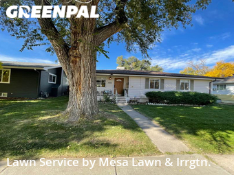 Lawn Maintenance nearby Englewood, CO, 