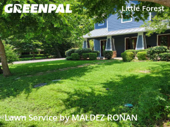 Lawn Care nearby Dallas, TX, 