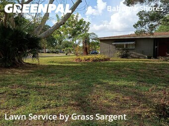 Grass Cut nearby St. Petersburg, FL, 