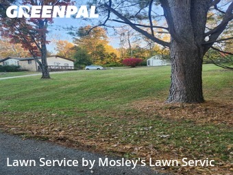Lawn Service nearby Clarksville, TN, 