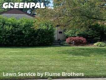 Yard Mowing nearby Roseville, MI, 