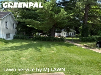 Grass Cutting nearby St. Louis, MO, 