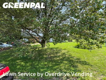 Lawn Cutting nearby Independence, KY, 