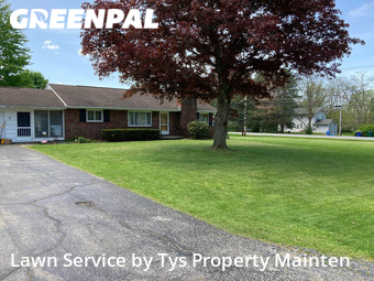 Grass Cutting nearby Henrietta, NY, 