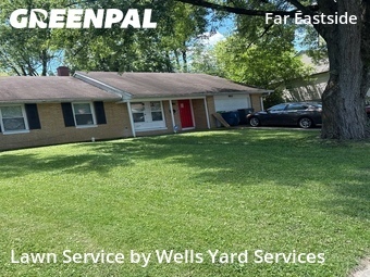 Lawn Cut nearby Indianapolis, IN, 