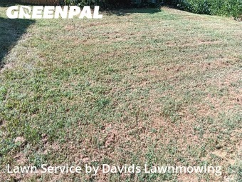 Lawn Maintenance nearby Duncan, SC, 