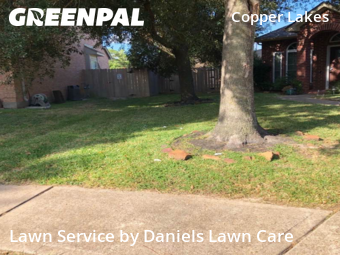 Lawn Cut nearby Houston, TX, 