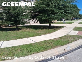Lawn Service nearby San Antonio, TX, 