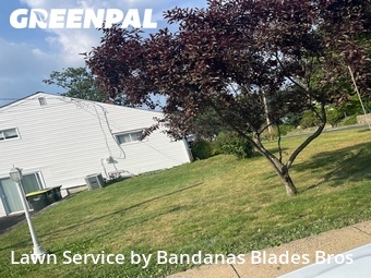 Lawn Maintenance nearby Willow Grove, PA, 