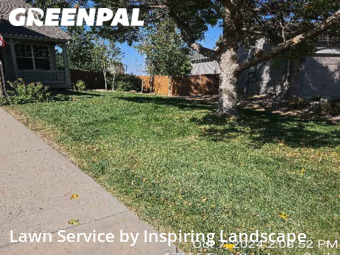 Grass Cut nearby Parker, CO, 