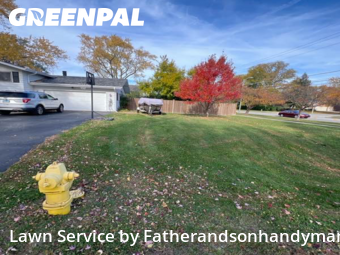 Weed Trimming in Downers Grove, 60516, Lawn Work by Fatherandsonhandyman, work completed in Nov , 2025