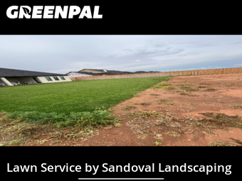 Grass Cut nearby Lubbock, TX, 