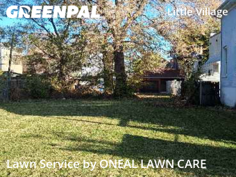 Grass Cut nearby Chicago, IL, 