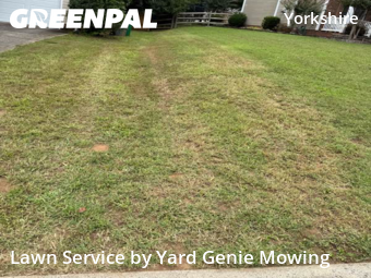 Lawn Mow nearby Charlotte, NC, 