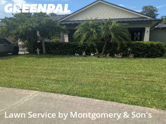 Yard Mowing nearby Lakeland, FL, 