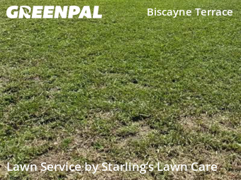 Yard Cutting nearby Jacksonville, FL, 