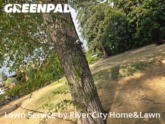 Lawn Cut nearby Spokane Valley, WA, 