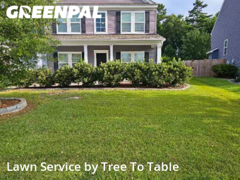 Grass Cutting nearby Charleston, SC, 