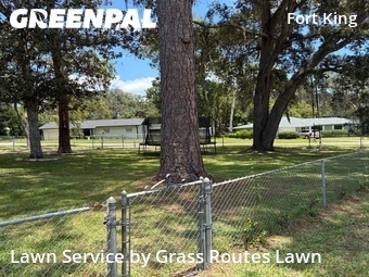Lawn Cut nearby Ocala, FL, 