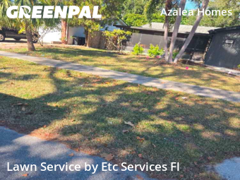 Landscaper In St. Petersburg,33710,Landscaping Maintenance by Etc Services Fl, work completed in Dec , 2025