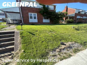 Grass Cut nearby Mc Keesport, PA, 