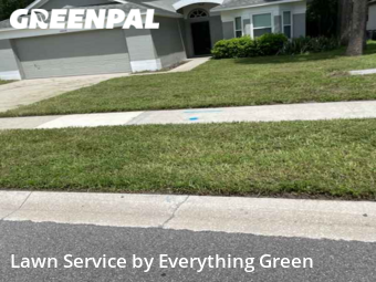 Lawn Cut nearby Orlando, FL, 
