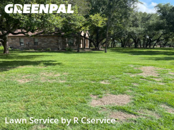 Lawn Service nearby Georgetown, TX, 