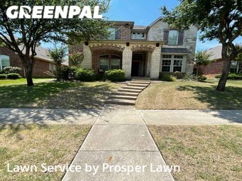 Yard Mowing nearby Frisco, FL, 