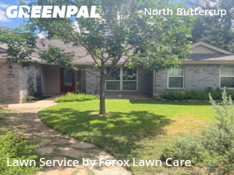 Yard Mowing nearby Cedar Park, TX, 