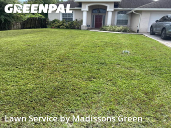 Lawn Management in West Palm Beach, 33413, Yard Care by Madissons Green, work completed in Nov , 2025
