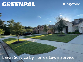 Lawn Mow nearby Porter, TX, 