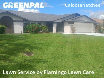 Lawn Mow nearby Cape Coral, FL, 