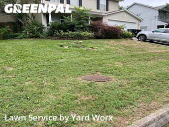 Lawn Service nearby Knoxville, TN, 