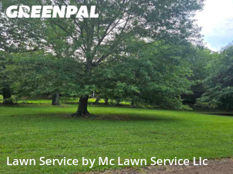 Lawn Maintenance nearby Madison, MS, 
