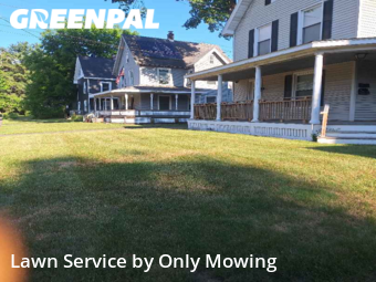 Lawn Cut nearby Delmar, NY, 