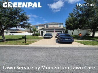 Landscapers In Tampa,33647,Landscaping by Momentum Lawn Care, work completed in Jul , 2026