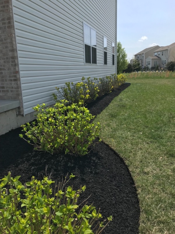 J&K Landscaping Lawn Care Services in Wilmington, DE