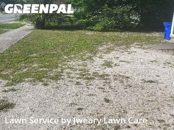 Grass Cut nearby Lakeland, FL, 